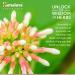 Himalaya Organic Ginger Digestive Relief Supplement - 820mg 60 Caplets - 2 Month Supply | Relieve Nausea, Gas, Upset Stomach - Buy Online on GoSupps.com
