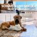 All for Paws Little Buddy Heartbeat Sheep - Puppy Separation Anxiety Toy | Comforting Dog Training Aid - Buy Online on GoSupps.com