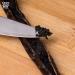 Gourmet Bourbon Grade A Madagascar Vanilla Beans for Baking & Extract - 10 Count Pack - Buy Online on GoSupps.com