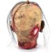 Srliya Halloween Decoration Halloween Mask Little Scary Reusable Wide Applicability Comfortable Wearing Halloween Decoration - Buy Online on GoSupps.com