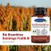 Buy Ayursana Organic Brown Millet Sprouts - Fermented Raw Food ProEM.M 300g | International Shipping Available - Buy Online on GoSupps.com