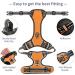 Heele Dog Crockery & No-Pull Harness - Soft Breathable Reflective Design for Medium Dogs - XS Uni-Orange - Buy Online on GoSupps.com