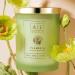 AL Plumeria Scented Jar Candle - 8.4oz Floral Fragrance | Buy Internationally - Buy Online on GoSupps.com