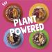Frooze Balls Plant Protein Vegan Snacks Variety Pack - 6 Packs, 5 Balls Each - Energy-Packed Plant Protein Power - Buy Online on GoSupps.com