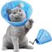 Adjustable Soft Protective Cat Collar | Halskrause Non-Protective Collar for Cats Puppies & Small Dogs - Blue (M) - Buy Online on GoSupps.com