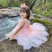 Miipat Sleeveless Tulle Baby Girl Dress with Headband - Pink (12-18 months) - Buy Online on GoSupps.com