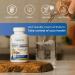 Natural Cure Labs Premium Immune Support 60 Count (Pack of 1) - Buy Online on GoSupps.com