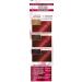 Garnier - color sensation 6.60 Intense red - 62250 - Buy Online on GoSupps.com