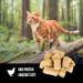 ORIJEN Freeze Dried Cat Treats - Grain Free, Natural & Raw Animal Ingredients - 1.25 oz - Buy Online on GoSupps.com