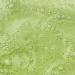 Youth To The People Kale Green Tea Superfood Face Cleanser - 8oz Vegan Gel Foaming Cleanser for All Skin Types - Clean Beauty with Spinach Vitamins C E K - Buy Online on GoSupps.com