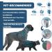ShengKou Natural Flea & Tick Collar for Large Dogs - 2 Pack with Essential Oils - Buy Online on GoSupps.com