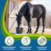 Buy EGGERSMANN Horse Vital Plus 3 kg - Vitamin-Rich Mineral Feed for Optimal Care - All Types of Horses - International Shipping Available - Buy Online on GoSupps.com