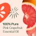 Buy Plant Therapy Pink Grapefruit Essential Oil 10 mL - 100% Pure Natural Aromatherapy Therapeutic Grade - International Shipping Available - Buy Online on GoSupps.com