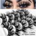 fdsmall False Eyelashes 8D Curl Wispy Long Lashes Fluffy Natural Look False Eyelashes 15 MM Faux Mink Lashes Soft Reusable Eye Lashes 5 Pairs (G5-4) - Buy Online on GoSupps.com