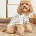 Yanmucy Hawaiian Shirt for Small Dogs | 2-Piece Summer Pet Clothing | Cool Breathable Coconut Tree Pattern | XL White & Blue Dog Shirts - Buy Online on GoSupps.com