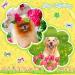 100Pcs/50Pairs Floral Dog Bows for Spring & Summer | Easter Dog Grooming Accessories for Puppy/Cat| Holiday Pet Hair Bands - Buy Online on GoSupps.com