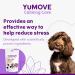 YuMOVE Calming Care One-a-day for Small Dogs | Previously YuCALM One-A-Day | Calming Supplemnent for Dogs who are Stressed or Nervous |30 Chews - 1 Month Supply | Packaging may vary - Buy Online on GoSupps.com