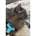 HCE Dog Hair Brush for Grooming | Best Brush for Matted Hair, Shedding & Defurring | Ideal for Large Dogs, Huskies | Blue - Buy Online on GoSupps.com
