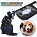 Reusable Dog Diapers 2 Pack - Washable Hygiene Pads for Bitches - Eco-Friendly XL Protective Trousers - Buy Online on GoSupps.com
