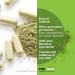 ANDREW LESSMAN Fibermucil 1000 Capsules - Psyllium Husk Powder for Digestive Health & Regularity - Buy Online on GoSupps.com