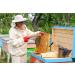 Organic Raw Honey - Pure Beekeeping Contains Pollen & Beeswax | 1000g Natural Sweetener - Buy Online on GoSupps.com