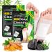 2-in-1 Detox Foot Pads  20Pcs Ginger Foot Pads Detox  Deep Cleansing Foot Pads  Natural Bamboo Vinegar Ginger Powder Foot Pads for Relieve Stress  Improve Sleep and Remove Dampness