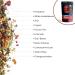WOW TEA: Ultimate Berry Box - Buy Online on GoSupps.com