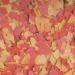 Tropical OVO-VIT 5L / 1kg - Fortifying Egg Food for Aquarium Fish - Buy Online on GoSupps.com