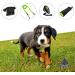 Asco Premium Finger Clicker for Dog & Cat Training | Elastic Hand Loop | Professional Training Clicker Pink AC08FA - Buy Online on GoSupps.com