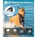 Remote Dog Training Anti Bark Collar | Vibration Beep Voice Call & Static Mode | USB Rechargeable | IP67 Waterproof | Up to 3300FT Range | Harmless Barking Control Device for Small, Medium, Large Dogs - Buy Online on GoSupps.com