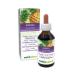 Pineapple (Ananas comosus or Ananas sativus) Fruit Stems Alcohol-Free Mother Tincture Naturalma | Liquid Extract Drops 100 ml | Food Supplement | Vegan Alcohol-free 100 ml (Pack of 1)