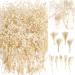 50Pcs Mini Dried Baby's Breath Flowers for Resin Art Craft DIY  3000+ Natural Ivory White Bulk Flowers  Pressed Gypsophila Bouquet Gift for Mother  Wedding Wreath  Card Making  Home Decor