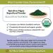 Wholistic Pet Organics Organic Spirulina Powder for Dogs - 4 Oz Superfood Multivitamin Supplement - Buy Online on GoSupps.com