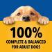 Pedigree Adult & Small Breed Wet Dog Food 12-Pack | Prime Rib & Chicken Gravy Cuts 13.2oz - Buy Online on GoSupps.com