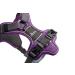 HUNTER DIVO Dog Harness - Large (72-100 cm) - Purple/Grey | Premium Comfort & Safety | International Shipping Available - Buy Online on GoSupps.com