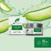 Organic Aloe Vera Concentrated Cream - 1.7 fl.oz. | Organic Doctor - Buy Online on GoSupps.com