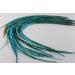 7-10 Turquoise Mix Feather Hair Extensions - Salon Quality, 5 Feathers Total - Buy Online on GoSupps.com