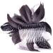 Black Feather Comb Hair Fascinator Ladies Day Races Ascot Weddings - Buy Online on GoSupps.com