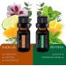 Pure Daily Care Top 10 Essential Oil Synergy Blend Set - 10x10mL Therapeutic Grade Oils for Mind, Body, and Spirit Upliftment - No Fillers or Additives - Buy Online on GoSupps.com