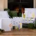 ESPA Wellness Wonders Collection Gift Set - Luxury Skincare Worth $695 | International Shipping Available - Buy Online on GoSupps.com