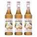 MONIN Apple Pie 1.17 cl Apple 700 ml (Pack of 1)