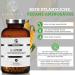 Qidosha L-Lysine Capsules 500mg | High Dose 365 Vegan Capsules | Pure L-Lysine 400mg | Made in Germany | International Shipping Available - Buy Online on GoSupps.com