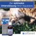 Alfavet Reconvales Energy for Cats - High-Caloric Formula for Convalescence & Hepatic Lipidosis - 180ml Glass Bottle - International Shipping Available - Buy Online on GoSupps.com