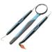 DenTek Premium Oral Care Kit - Dental Pick Steel Teeth Scaler Rubber Stimulater