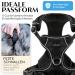 Freudenier Dog Harness - Breathable Comfortable & Durable | Perfect for All Dog Sizes (Black Small) - International Shipping Available - Buy Online on GoSupps.com