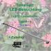 Buy AQUARIUM PL DERHAUSEN Rainforest Terra - 30cm LED Lighting for Tropical Plants | International Shipping - Buy Online on GoSupps.com