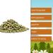 Buy Nut Fox Edamame Beans 1kg - Crispy Roasted Salted Snack | Gluten-Free Vegan Soybeans - Buy Online on GoSupps.com