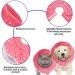 SunGrow Cat Cone Collar 9-10.5 Neck Size Pink - Soft E-Collar for Recovery & Stress Relief - Adjustable Strap Enclosures - Buy Online on GoSupps.com