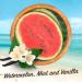 Malibu Sun SPF 30 Lip Balm Sunscreen 3-Pack - Watermelon Mint & Vanilla 5g - Buy Online on GoSupps.com