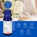 Lotus Aroma Premium Grade Peppermint Essential Oil 100% Pure & Undiluted Relaxing Scent Peppermint Essential Oils For Humidifier Aromatherapy Oil Fragrance Oils - Huile Essentielle 0.5oz (15ml) - Buy Online on GoSupps.com